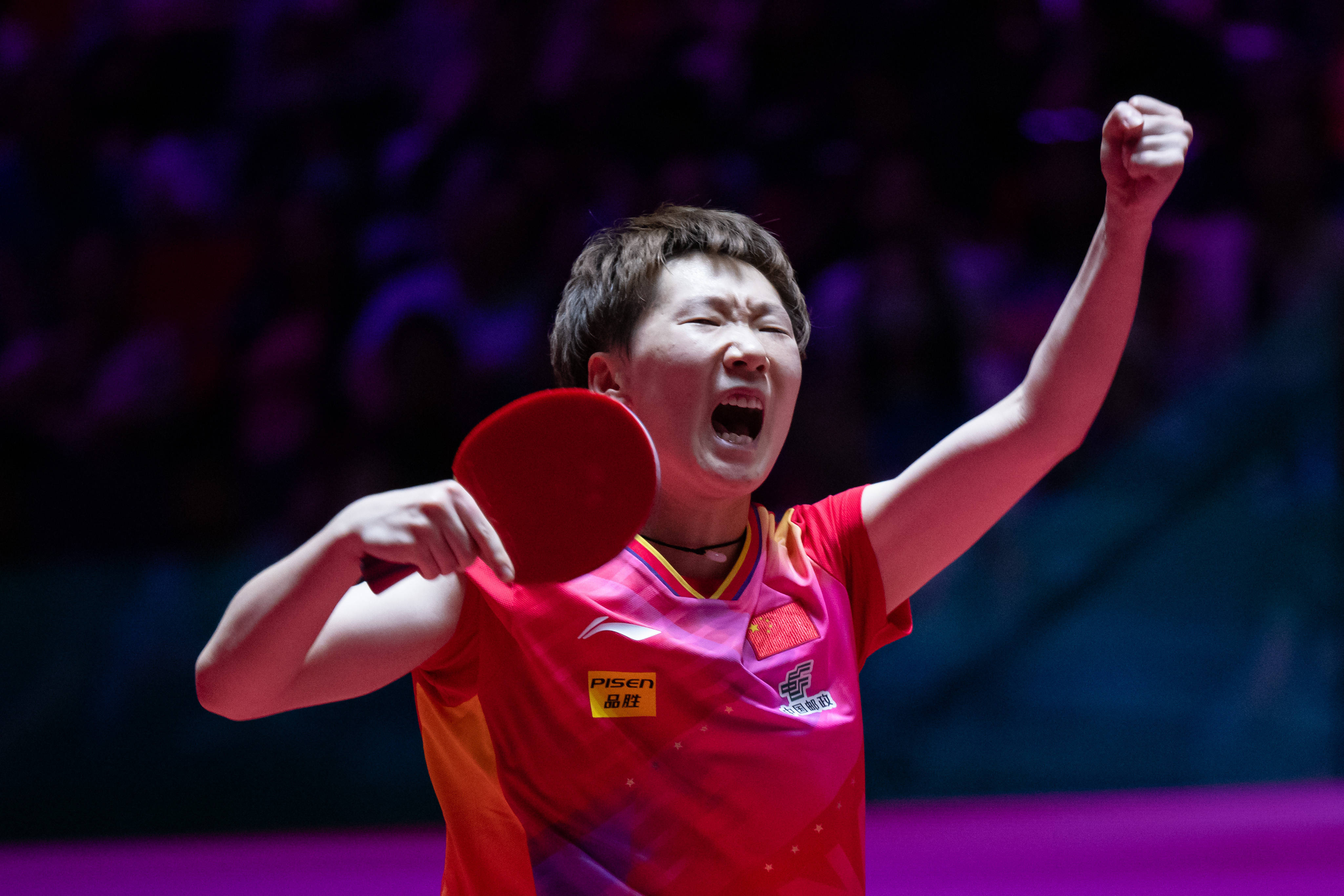 新树立了全 新树立了全