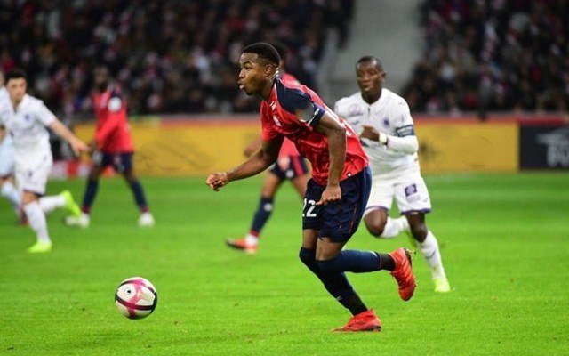 全面的判断 全面的判断