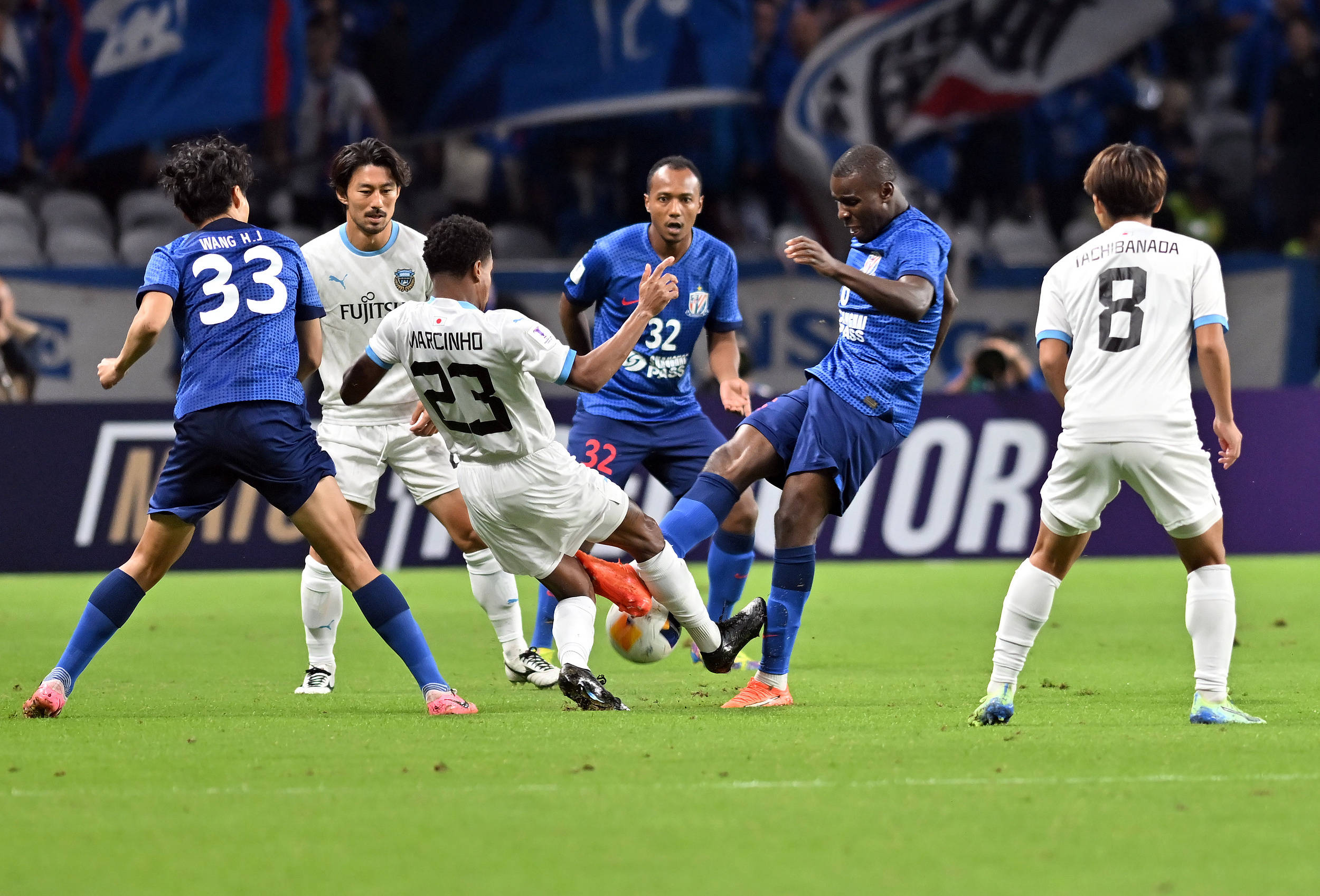 自交出稳定 自交出稳定